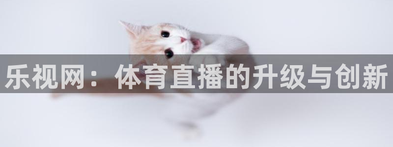 飞速直播篮球直播